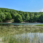 Le Lac Noir (Agelmim Aberkan)