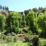 Cascade de Mina Sidi Ouadah