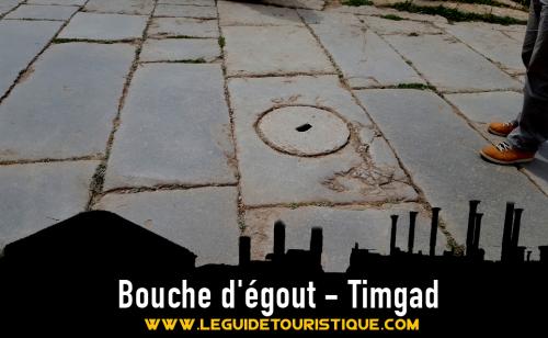 Bouche d'égout