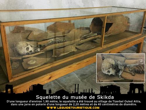 Squelette du musée de Skikda