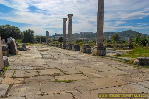 Forum d'Hippone