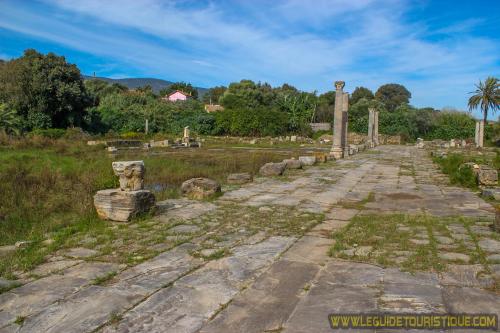 Forum d'Hippone