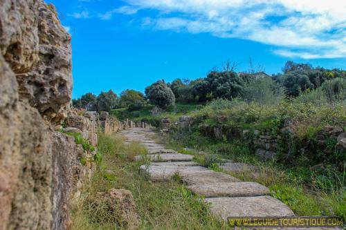 Route d'Hippone