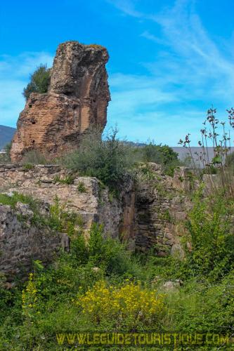 Thermes d'Hippone