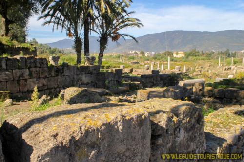 Ruines byzantines d'Hippone