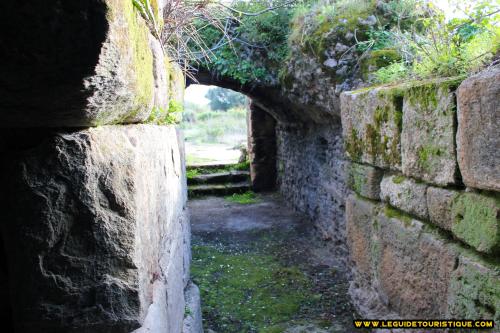 Thermes d'Hippone