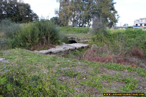 Thermes d'Hippone