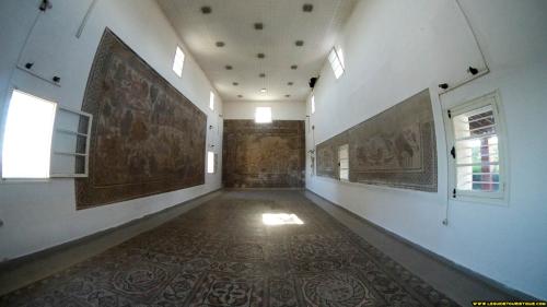 Salle de mosaïque du musée d'Hippone