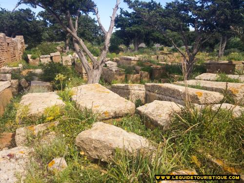 Nécropole de Tipaza