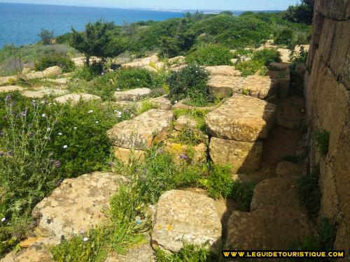 Nécropole de Tipaza