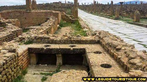 timgad-100