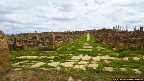 timgad-20