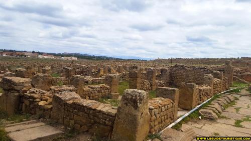 timgad-4