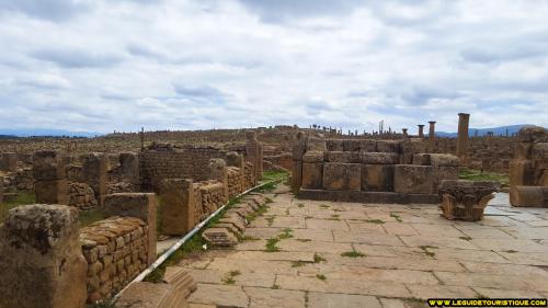 timgad-5