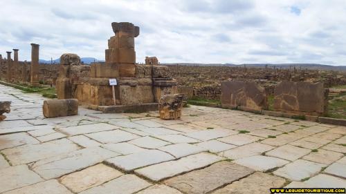 timgad-6