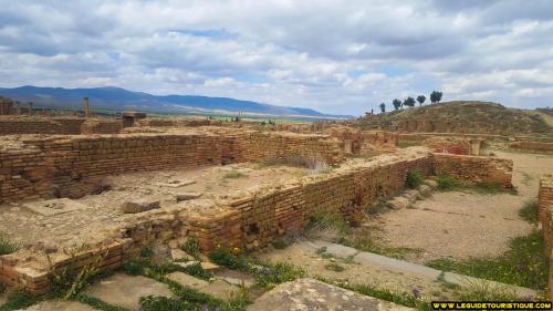 timgad-62