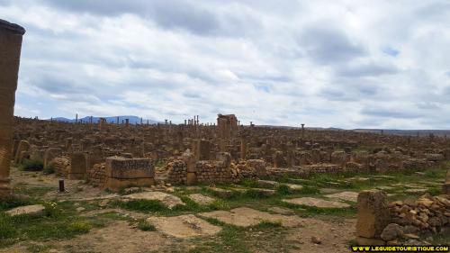 timgad-7