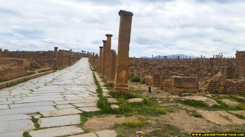 timgad-8