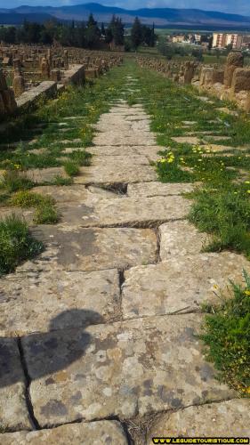 timgad-80