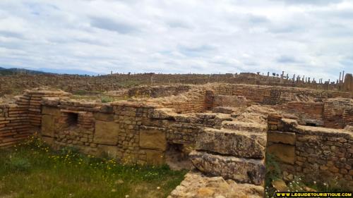 timgad-9