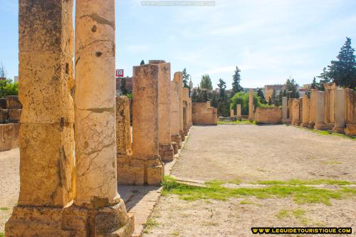 Basilique berbéro-romaine de Thevest